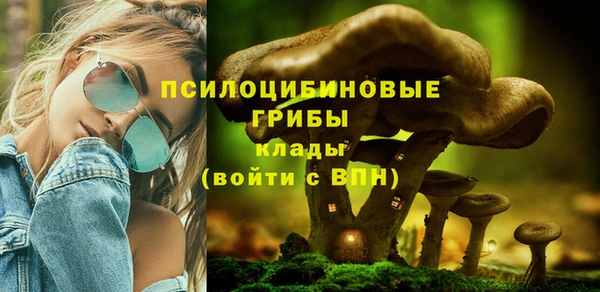 тгк Балахна