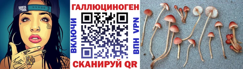 Псилоцибиновые грибы Magic Shrooms  Кувандык 