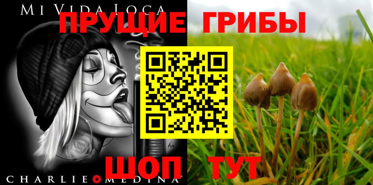 Галлюциногенные грибы мухоморы  Вход с VPN  Кувандык  Галлюциногенные грибы прущие грибы 