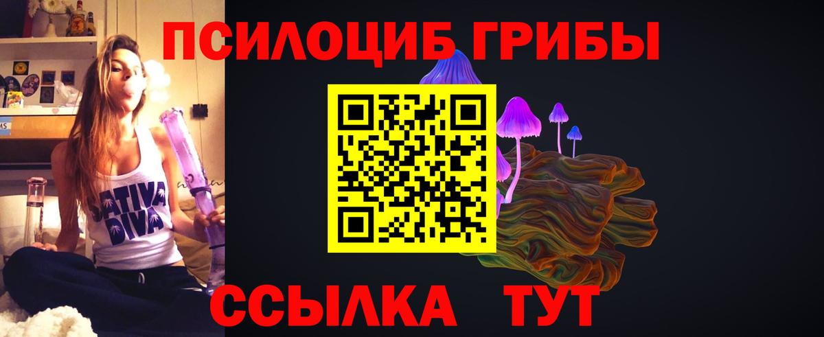Галлюциногенные грибы Cubensis Кувандык
